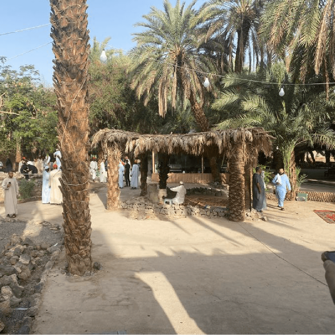 Experience the Visit to the First Migration Paths